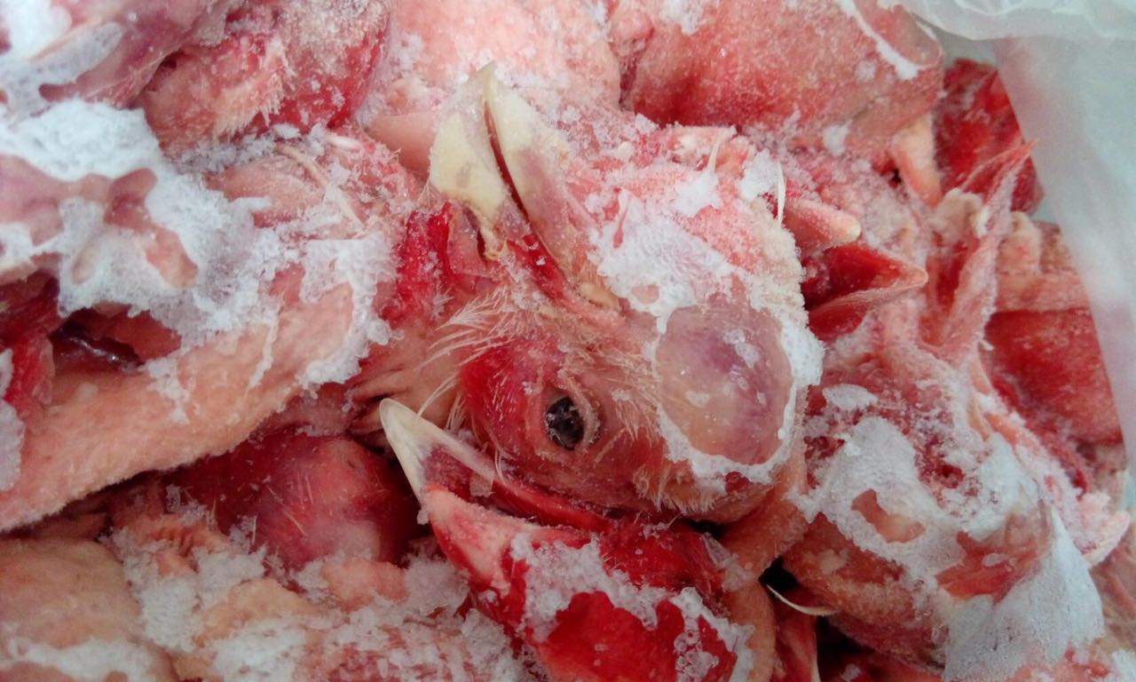 Куриные головы в ящике